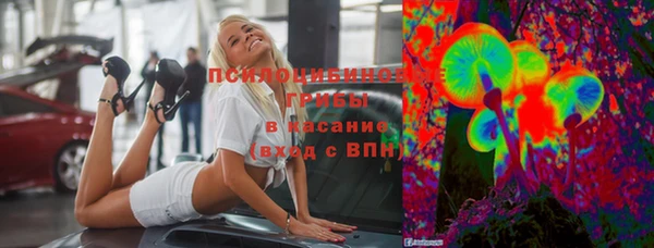 СК Лиски