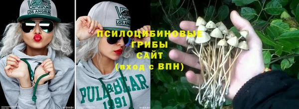 СК Лиски