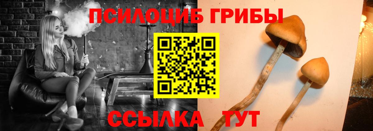 Галлюциногенные грибы Psilocybine cubensis  Вход с VPN  Малгобек 